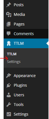 How to add a custom post type into the sub-menu of a custom menu